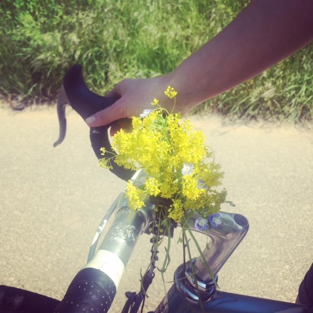 Blumen und Bikes