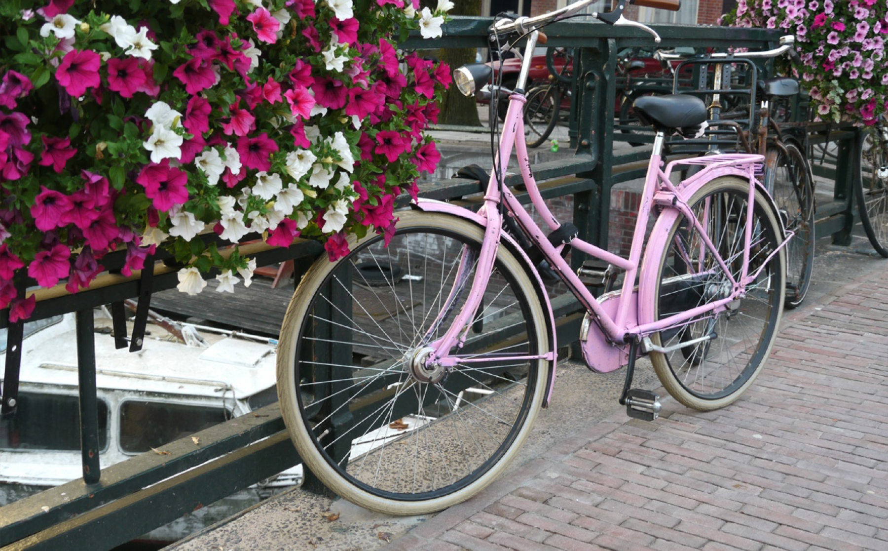 Amsterdam Blumen Fahrrad