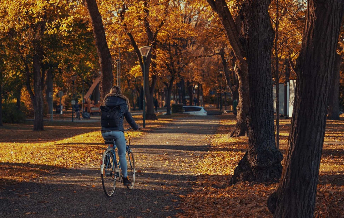 5 Gründe, warum man auch im Herbst mit dem Fahrrad zur Arbeit fahren sollte