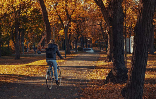 5 Gründe, warum man auch im Herbst mit dem Fahrrad zur Arbeit fahren sollte